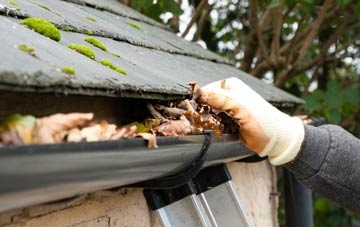 gutter cleaning Synwell, Gloucestershire