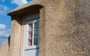 Synwell thatch roof disadvantages